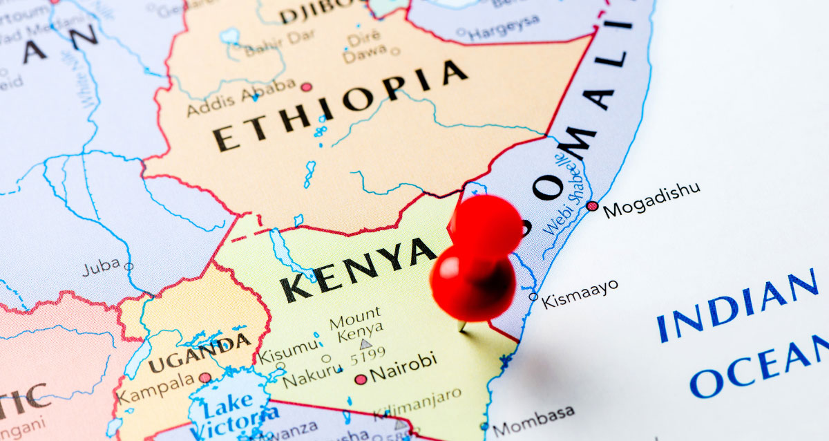 Candace-Hamilton-Cultivating-Grace-ACO